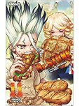 Dr Stone - tome 11