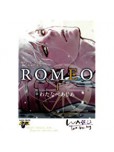 D.S.P Romeo - tome 1