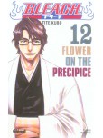 Bleach - tome 12 : Flower on the Precipice