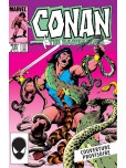 Conan le Barbare : L'intégrale 1984 - tome 17