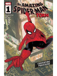 Amazing Spider-Man Torn