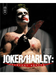 Harley / Joker criminal Sanity