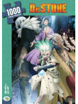 Dr Stone