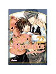 Junjo Romantica - tome 22