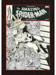 Marvel Artist Edition : John Romita's Amazing Spider-Man